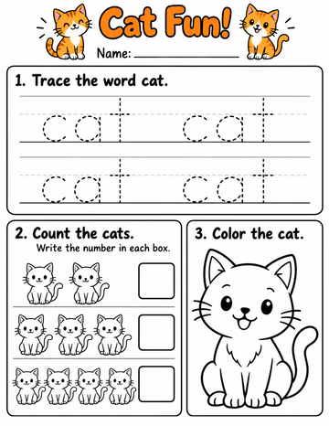 C worksheet
