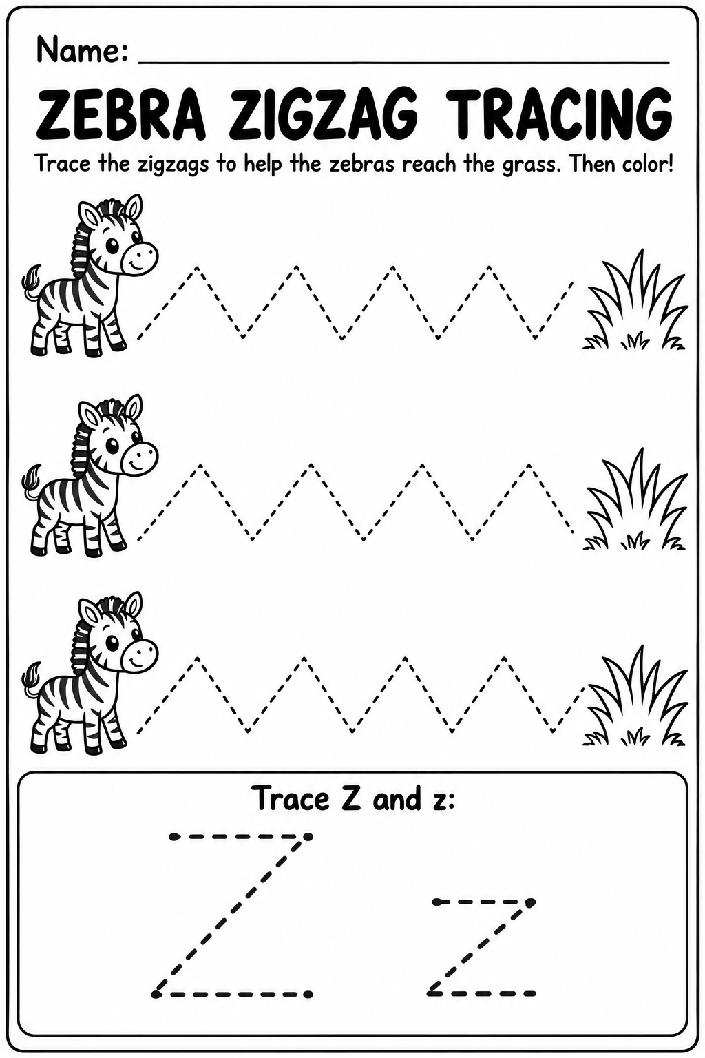 Z activity